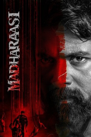 MADHARASI (2025) WEBRIP Hindi (MULTI AUDIO) 720p – 480p – 1080p