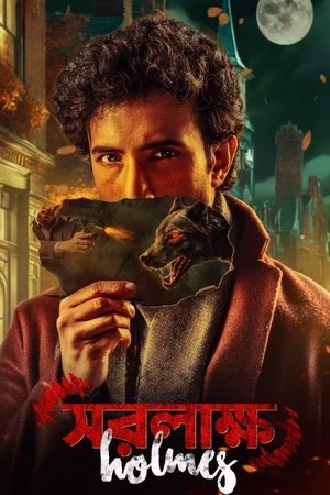 Saralakkho Holmes (2025) WEBRIP Hindi (MULTI AUDIO) 720p – 480p – 1080p