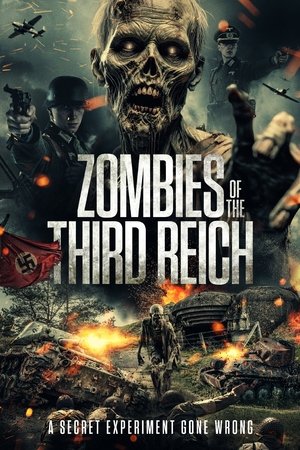 Zombies of the Third Reich (2025) WEBRIP Hindi (MULTI AUDIO) 720p – 480p – 1080p